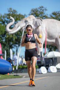 BIB: 
                            <button type="button" onclick="openModal(26544368)" class="btn btn-primary btn-sm float-right btn-popup" data-toggle="modal" data-target=".modal-high-quality">
                        <i class="fas fa-shopping-cart"></i> Add to Cart
                    </button>
                                            <button type="button" onclick="isThisMe(26544368, true)" class="btn btn-success btn-sm float-right btn-popup btn-isme hidden" data-toggle="tooltip" data-placement="bottom" title="นี่คือรูปของคุณใช่ไหม คลิกที่นี่เพื่อเอาเข้าอัลบั้ม">
                        <i class="fas fa-plus"></i> Add to album
                    </button>
                    <button type="button" onclick="isThisMe(26544368, false)" class="btn btn-warning btn-sm float-right btn-popup btn-isnotme hidden">
                        <i class="fas fa-ban"></i> Remove from album
                    </button>